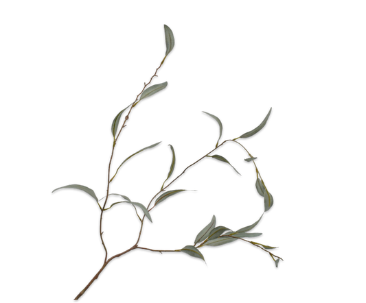 Rama de eucalyptus - verde - 96 cm