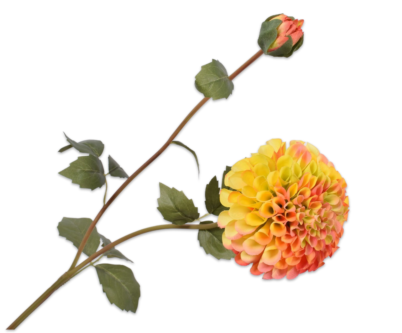 Dahlia Tak - Geel/Rood - 80 cm