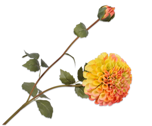 Dahlia Tak - Geel/Rood - 80 cm