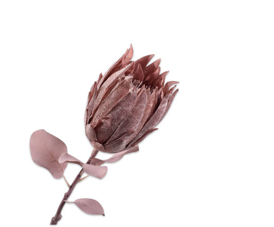 Protea Steel - Roze - 73 cm