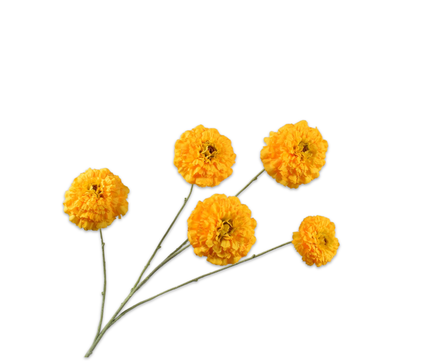 Tagetes Tak - Geel - 91 cm