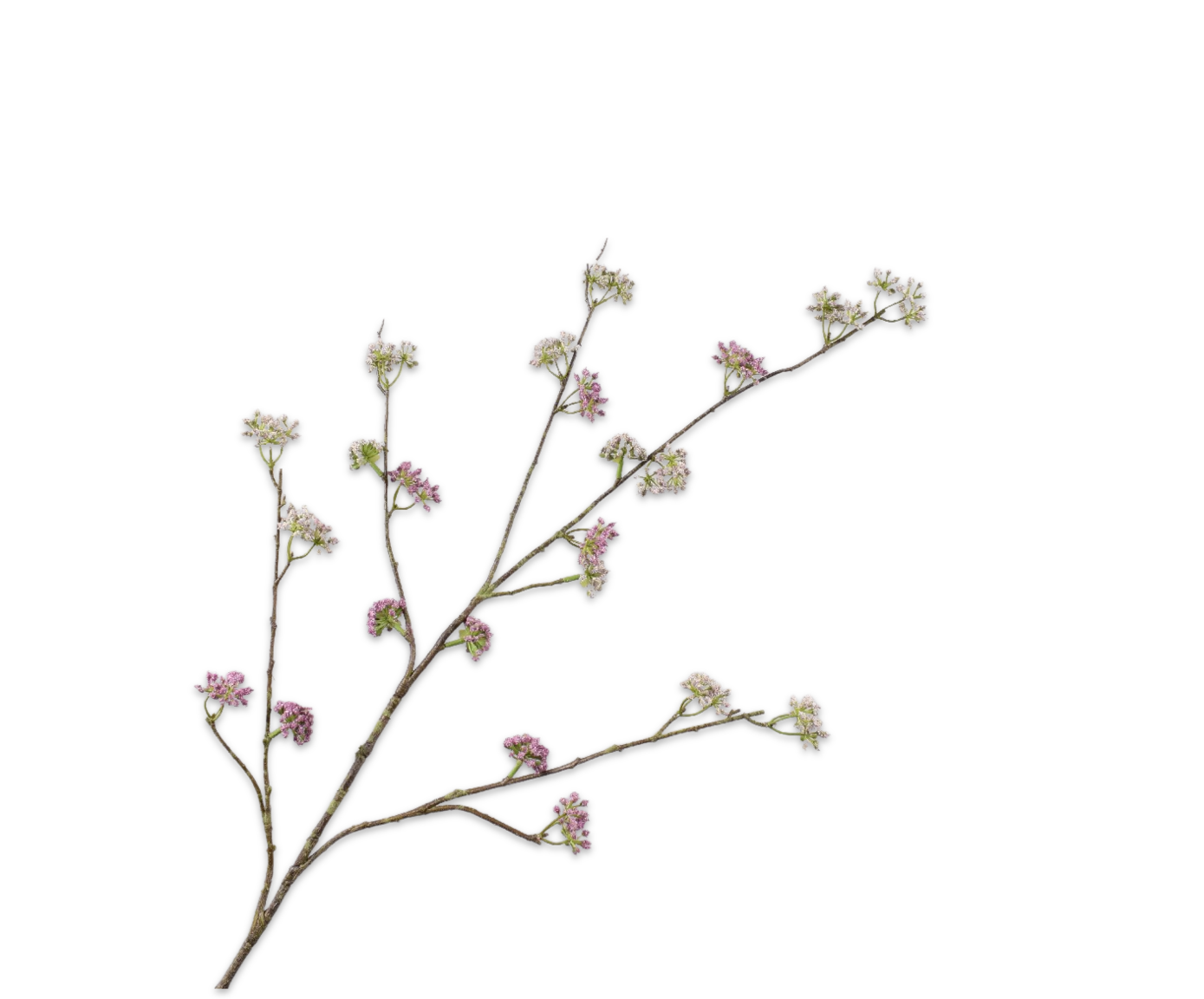 Dill branch - Green/Pink - 115 cm