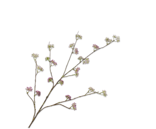 Dill Branch - verde/rosa - 115 cm