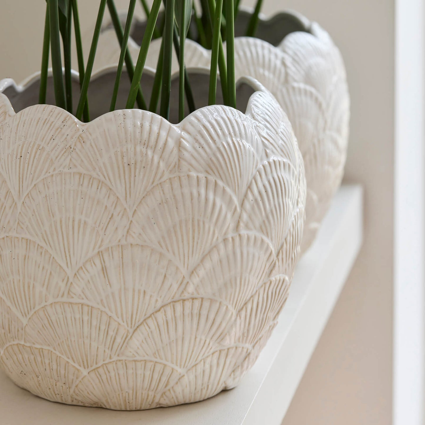 Shell Planter