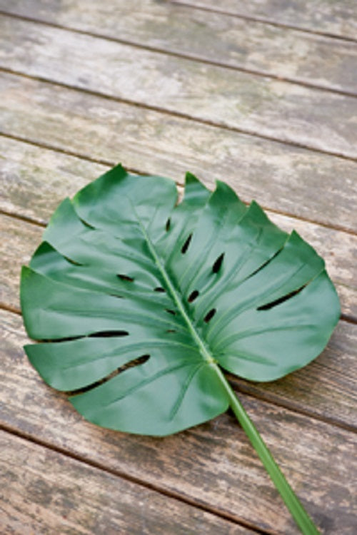 Monstera Leaf (L) maisonleonie