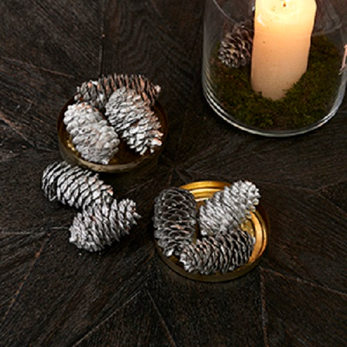 Pinecones tradicionales plateado